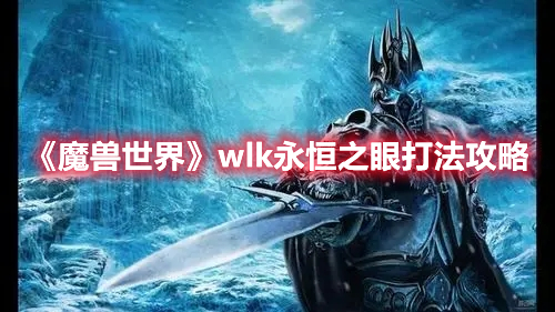 《魔兽世界》wlk永恒之眼打法攻略