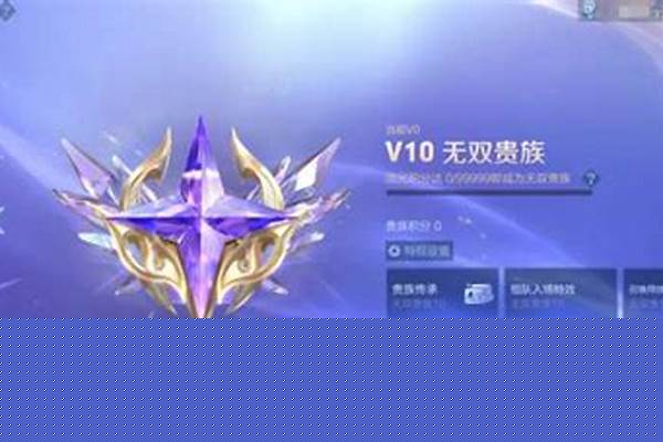 2024王者荣耀贵族怎么隐藏