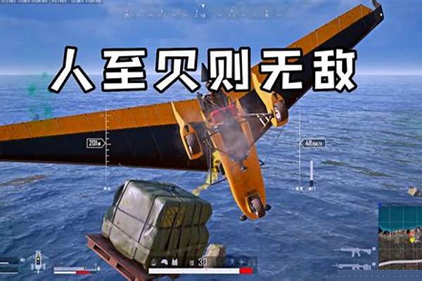 二级飞行员需要什么条件
