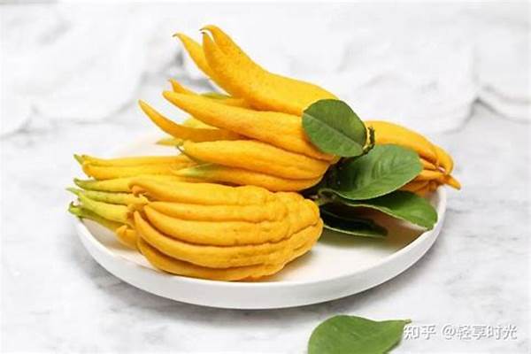 佛手果的功效和作用有哪些