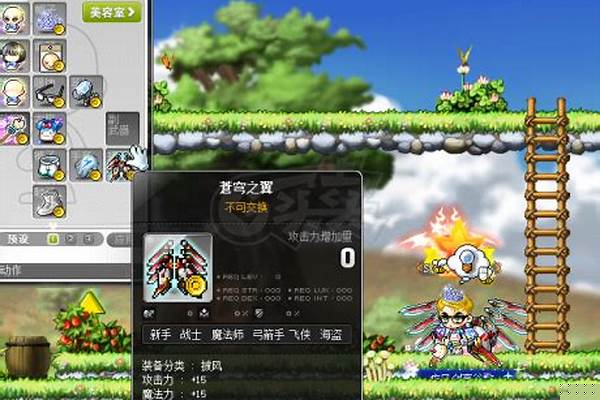 冒险岛冒险披风怎么得到到捏_冒险岛枫之传说隐士装备攻略