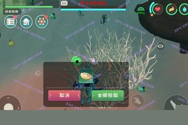 创造与魔法碎珍珠,有什么用