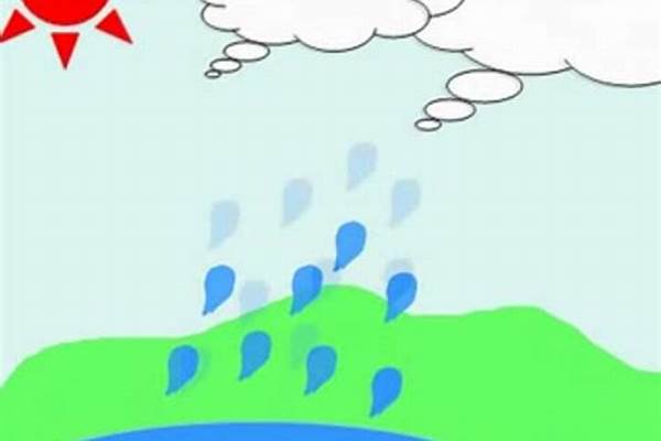 动物雨是怎样形成的_小动物怎样预知下雨