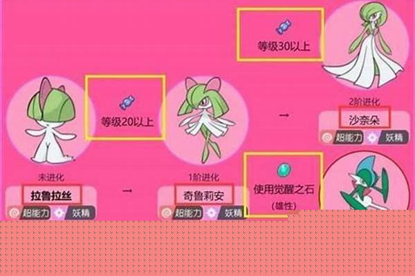 口袋妖怪剑盾时拉比配招