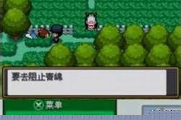 口袋妖怪心金好玩还是银魂好玩_no$gba2.6玩口袋黑白/金心银魂,