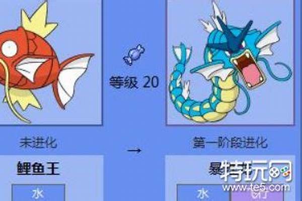 口袋妖怪究极绿宝石鲤鱼王什么特性最好