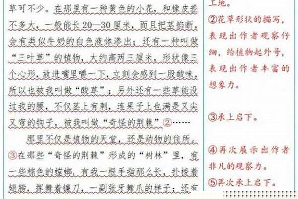 呐喊中的好词好句好段多多益善