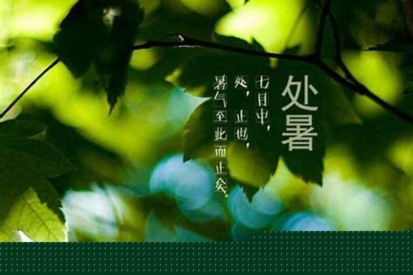 处暑,白露是什么意思_什么是秋分