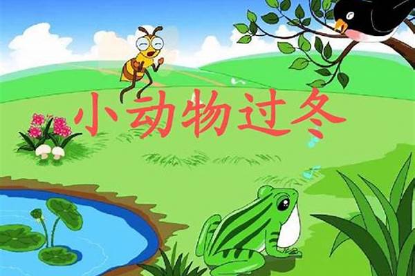 小动物怎样预知下雨