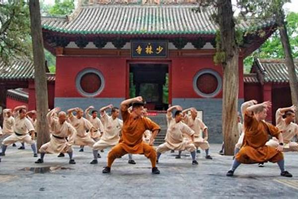 少林功夫里的演员介绍_上世纪80年代，著名影星李连杰主演的《少