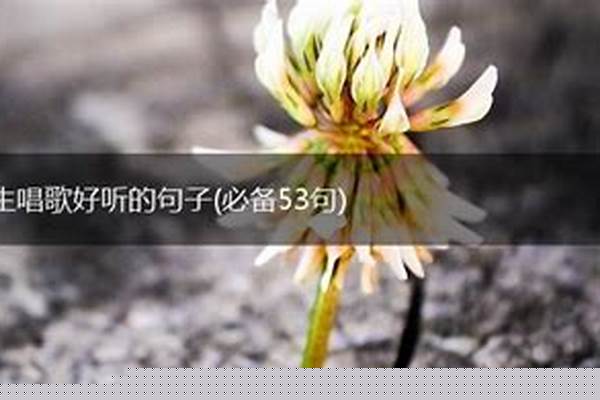 形容女生声音好听的句子