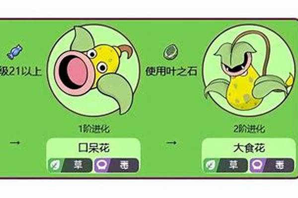 心金喇叭芽怎么培养