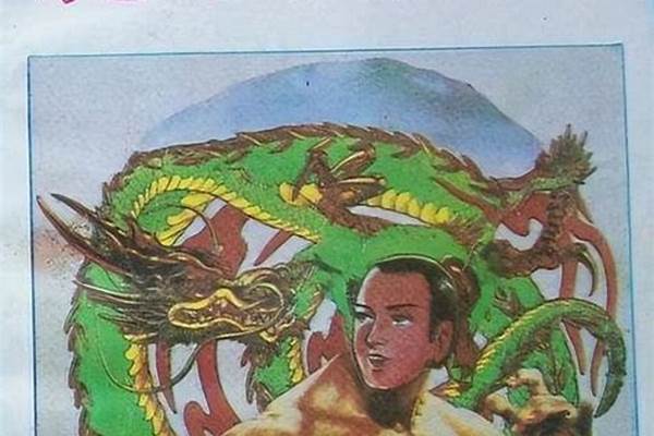 我弟弟是个武侠小说迷,他家里有很多的书,