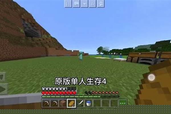 我的世界怎么在生存模式下飞行_我的世界怎么快速学会玩法