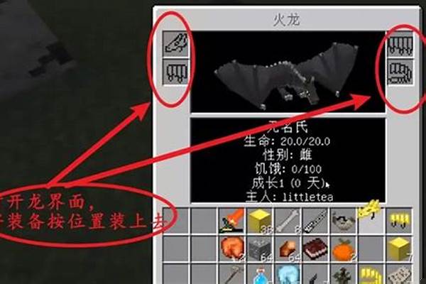 我的世界怎么隐藏铠甲_侍殓铠甲怎么拿