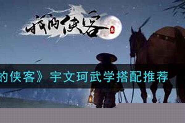 我的侠客文珂宇武学搭配