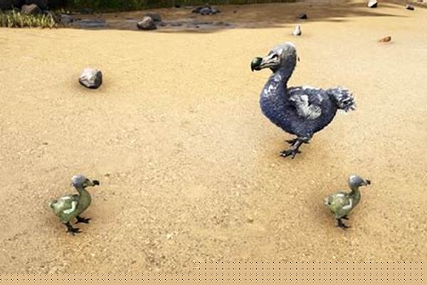 方舟生存进化渡渡鸟蛋饲料怎么弄_方舟生存进化手游中吉贝龙喜欢吃什么饲料