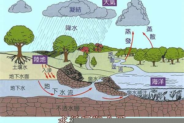 水在自然界是怎样循环的,