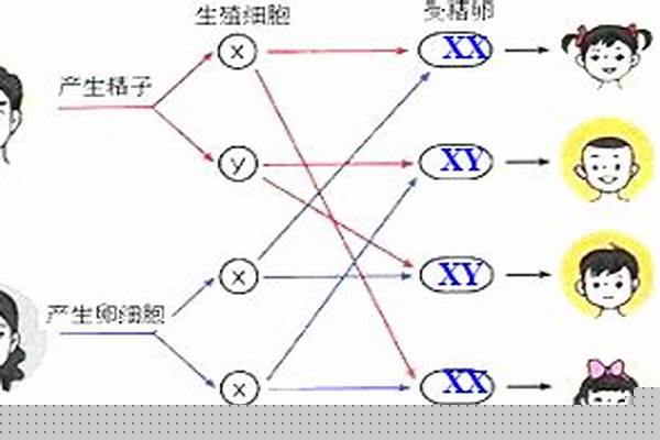 求解女人生孩子会遗传她的第一个男人基因吗