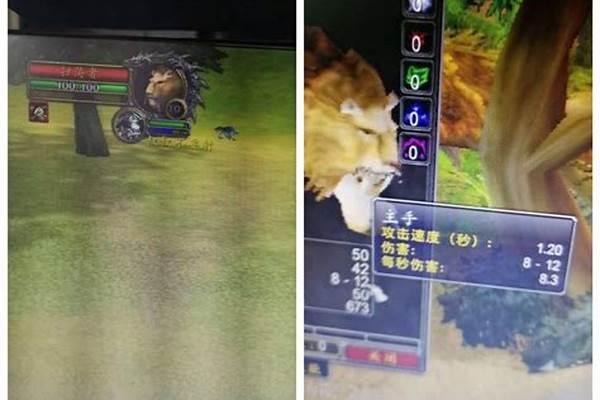 猎人问题，我把扫荡者带到60怎么样