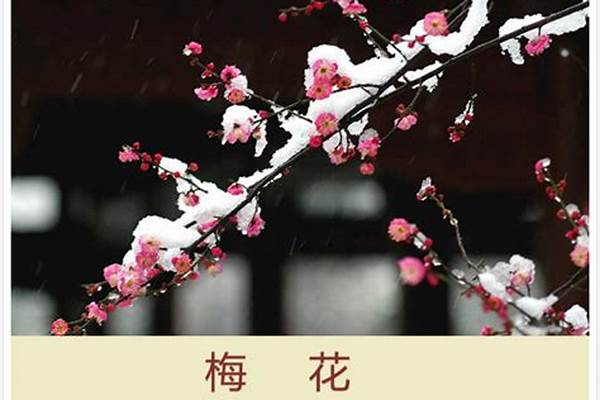 王安石梅花古诗带拼音版