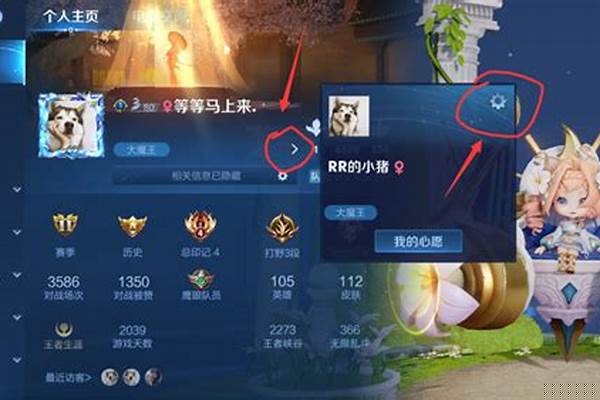 王者怎么短时间内获得皮肤碎片