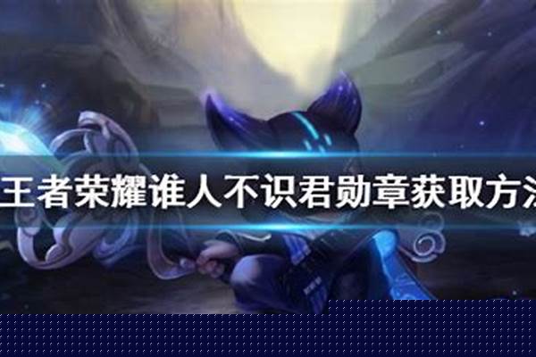 王者谁人不识君的勋章怎么得-如何证明地球公转