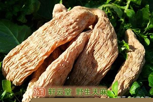 请问一下，天麻、红枣、花生、猪骨头可以一