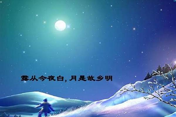 露从今夜白这首诗表达了什么_月夜忆舍弟主旨