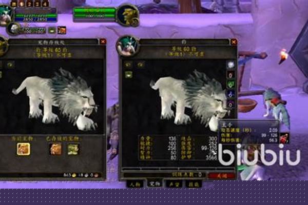 魔兽世界怀旧服猎人一键输出宏_魔兽世界兽王猎人输出宏怎么做