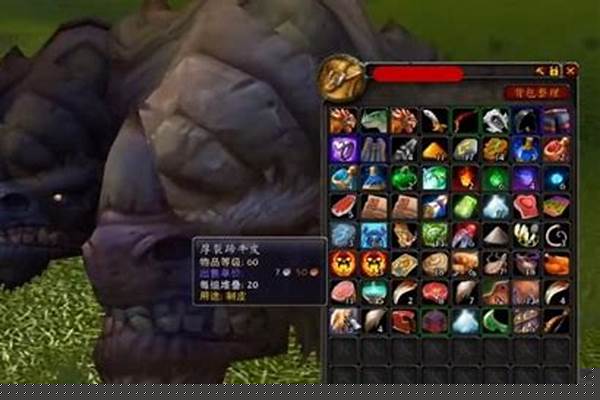 魔兽世界怀旧服皮革卖商店吗_皮革整理箱价格是多少