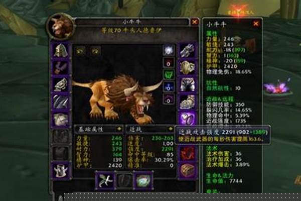 魔兽世界怀旧猫德输出_tbc法师a怪输出手法