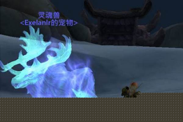 魔兽世界接不到考古鹿的任务_你好，张教授