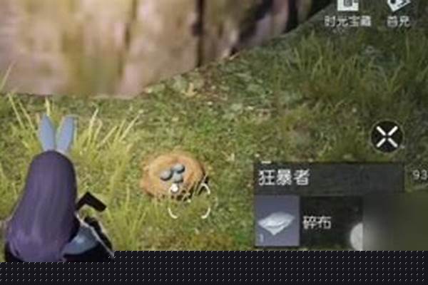 黎明觉醒鸟蛋在哪里-松鼠的形态特征是什么